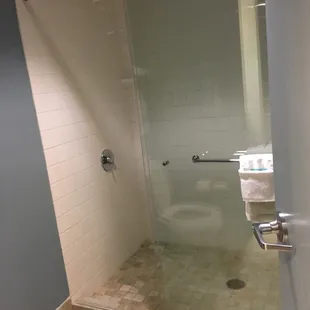Nice shower! Bath tub is in kids bathroom.