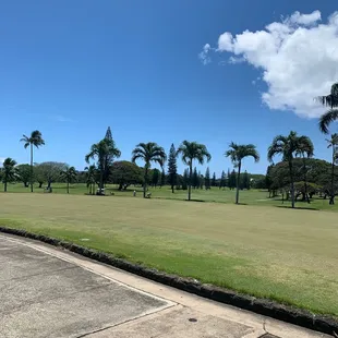 Case of the Tuesday's