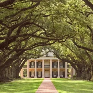 Oak Alley Plantation