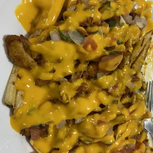 The Asada Fries (meat - Al Pastor)