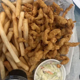 Clam Strips