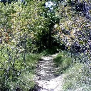 Gorgeous trails to walk/hike