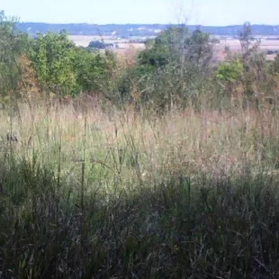 So much flora to see and explore