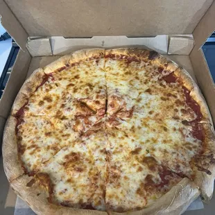 Large cheese pizza