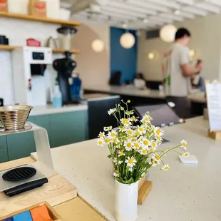 a vase of daisies on a counter