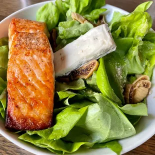 Bib salad with fresh salmon filet added. Excellent!