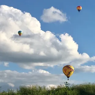 Nebraska Balloon & Wine Festival