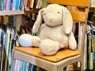 A Novel Idea Bookstore