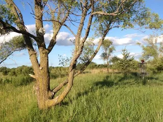 The Links At Lake Cunningham