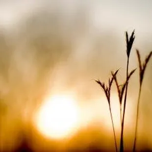 Nebraska Mental Health Center