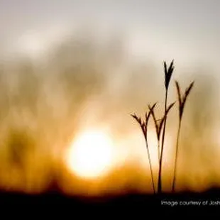 Nebraska Mental Health Center