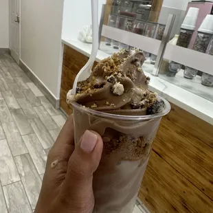 Chocolate chip cookie dough