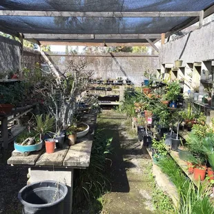 Huge selection