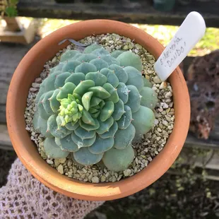 Took this one home with me!
