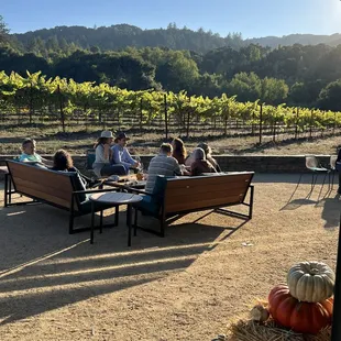 a group of people sitting at a table in a vineyard
