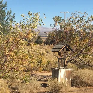 ramen and noodles, outside