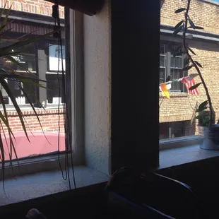 Cute 2nd story window view while eating