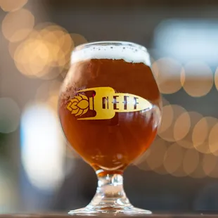 Gluten Free Craft Beer