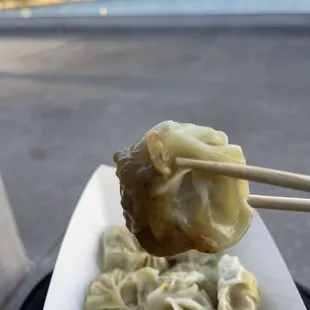a plate of dumplings with chopsticks