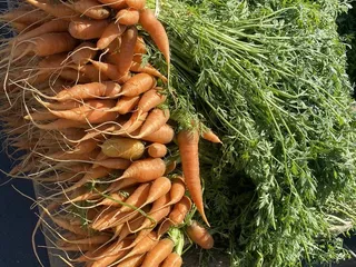 Farmers Market Laguna Gateway Center