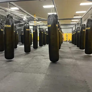 Boxing bags for the boxing class