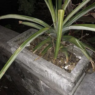 Story behind this is probably only funny to me.. read details in my review.