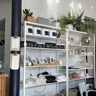 a table and shelves with plants