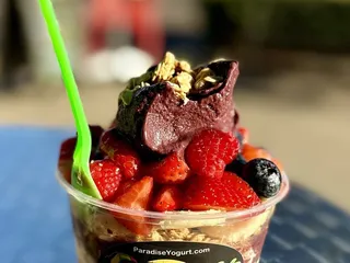 Paradise Yogurt