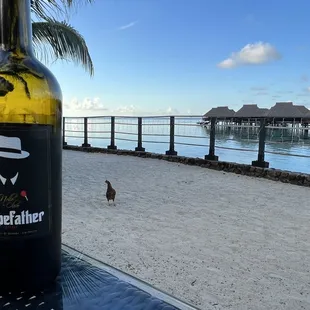 a bottle of wine on the beach