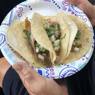 3 tacos on a LUNCH size plate