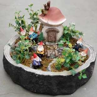 Imagine - Believe - Create! We have a huge selection of fairy garden supplies.