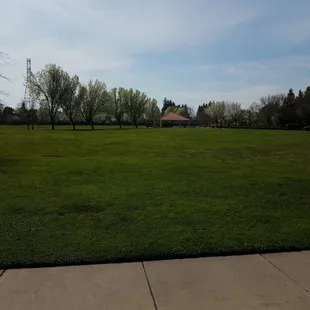 Lots of area to run around