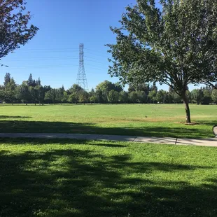 Beautiful park