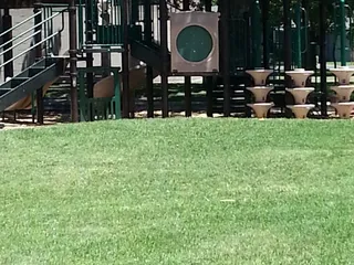 Caldwell Park