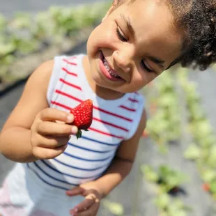 a young girl holding a strawberry