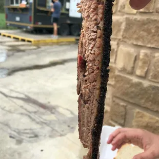 a hand holding a piece of meat