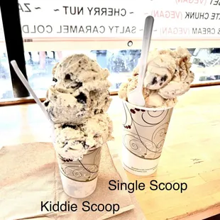 Kiddie and single scoop of Nelson&apos;s Ice Cream