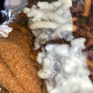 a plate of french fries with cheese sauce