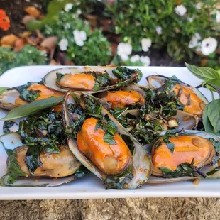 House Special Seafood