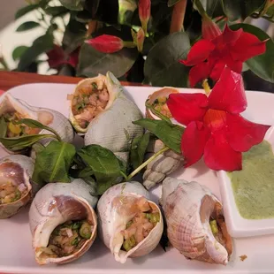 Grilled Canada Whelks