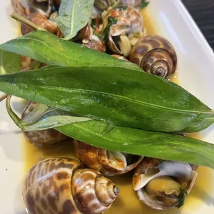 Oc Huong Xao Sot Nem