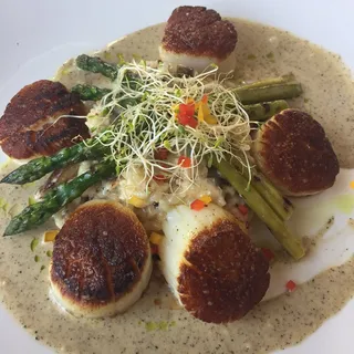 Diver Sea Scallops