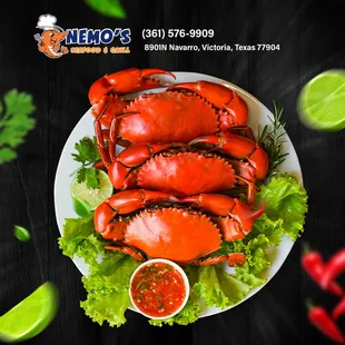 Delight your taste buds this Christmas at Nemo Seafood Grill with a sumptuous feast featuring the finest crab dishes - because holiday celeb