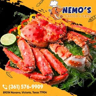 Can&apos;t get enough seafood? 
 We are Nemo&apos;s Seafood, the place where you can truly taste the beauty of the sea.  
 We are an exquis