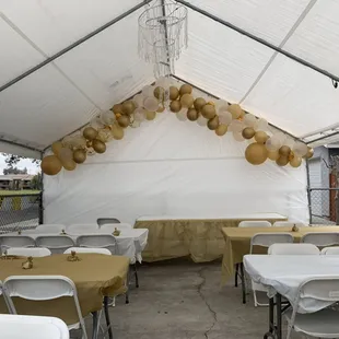 20 x 20 canopy with lights &amp; chandelier