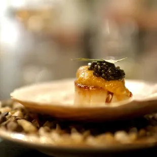 Scallop with uni and caviar