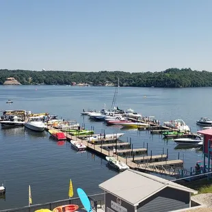 View from back patio