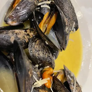 Mussels - old seafood