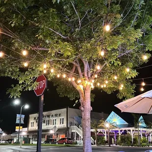 a stop sign and a tree