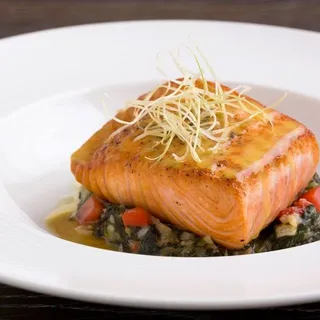 Salmon